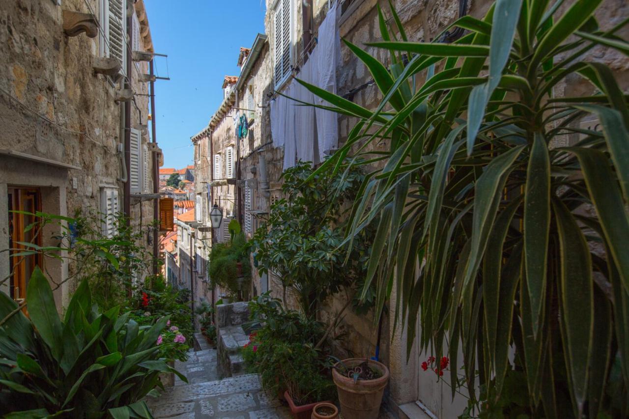 Apartman Mama Marija Dubrovnik Eksteriør billede
